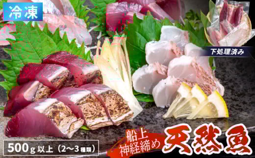 船上 神経締め 天然 鮮魚 詰め合わせ 朝獲れ直送 下処理済み 2~3種入り 500g以上 （2026年3月出荷） 冷凍 刺身 魚種お任せ 水揚げ 海鮮 魚介 産地直送 新鮮 魚 鮮魚ボックス 2026年3月出荷 500g（冷凍）