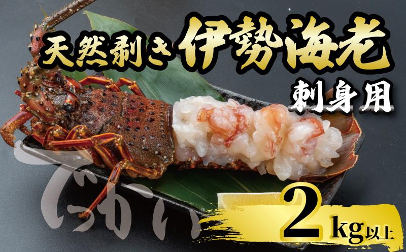でっかい天然伊勢海老  刺身用 2kg以上 冷凍 2kg以上