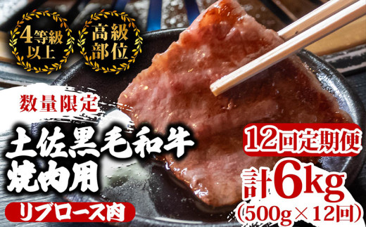【定期12回】土佐 黒毛 和牛 焼肉用 計6kg【500g×12ヶ月連続お届け】