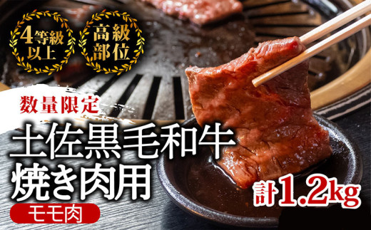 土佐 黒毛 和牛 焼肉用1.2kg 【 600g × 2パック 】