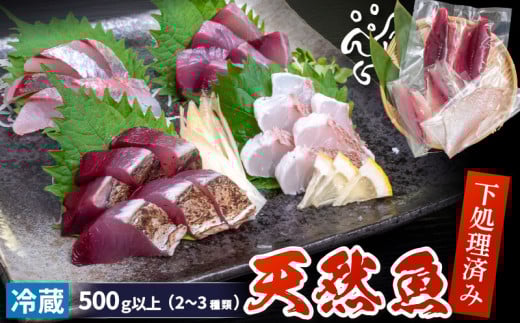天然 鮮魚 詰め合わせ 朝獲れ直送 下処理済み 2~3種入り 500g以上 （2026年4月出荷） 冷蔵 刺身 魚種お任せ 水揚げ 海鮮 魚介 産地直送 新鮮 魚 鮮魚ボックス 2026年4月出荷 500g（冷蔵）