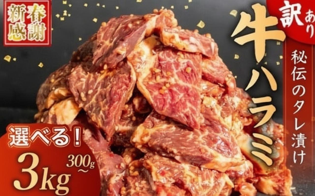 【 新春感謝 】 選べる 訳あり 牛ハラミ 秘伝のタレ タレ漬け 900g ( 300g × 3パック ) ハンバーグ 10個 (200gx10個) セット 四万十 ポーク 高評価 小分け 牛肉 味付け 肉 牛 豚 こだわり 個包装 使いやすい 冷凍 容量選択可 簡単調理 hannba-gu 四万十ポーク 便利 焼くだけ ご飯 米 焼肉 焼き肉 BBQ バーベキュー アウトドア 醤油 職人 伝統 家庭用 おすすめ 高知県須崎市 ハラミ900g/ハンバーグ2kg