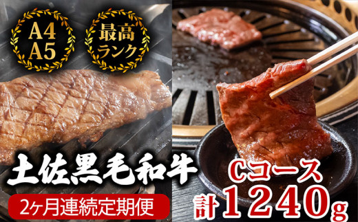 【2回定期】土佐黒毛和牛 食べ比べ 1240g 【計1.2kg以上】