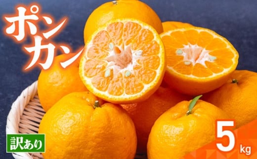 【早期予約】大人気 安和ポンカン 5kg 【ヤマデ農園】 5kg訳あり