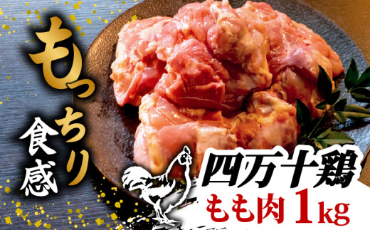 銘柄鶏 四万十鶏 もも肉 1kg ( 500g × 2パック ) | 切身 カットでかんたん時短セット カット済み 鳥肉 とりにく 鶏もも 冷凍 国産 ブランド 唐揚げ 煮物 鍋 チキン 南蛮 高知県 須崎市 TM042 1kg
