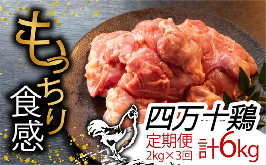 【定期3回】銘柄鶏 四万十鶏 もも肉 計6kg【2kg×3ヶ月連続お届け】 Sコース