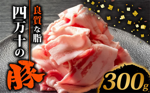 四万十ポークスライス300g | 豚肉 豚バラ肉 小分け 小間切れ スライス 切り落とし 冷凍 真空パック 簡単調理 細切れ 大容量 肉 高知県 須崎市 TM034 300g（300g×1パック）