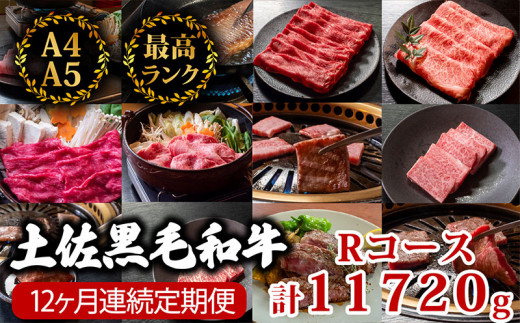 【12回定期】土佐黒毛和牛 食べ比べ 11720g 【計11kg以上】