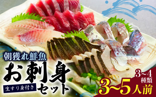 朝どれ地魚 ３～４種類 3～5人前 お刺身 セット 生すり身付き YS002_x 3～5人前