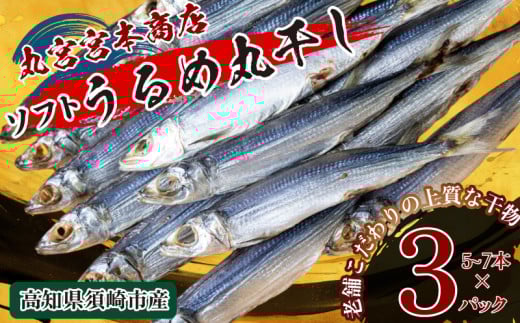うるめの丸干し(ソフト) 3パック 鰯 煮干し 真いわし 真鰯 稚魚 おやつ 乾物 魚介 加工品 ウルメ 丸宮 宮本 商店 土佐 海洋深層水 ミネラル 高知県 須崎市 MMY044 ソフト