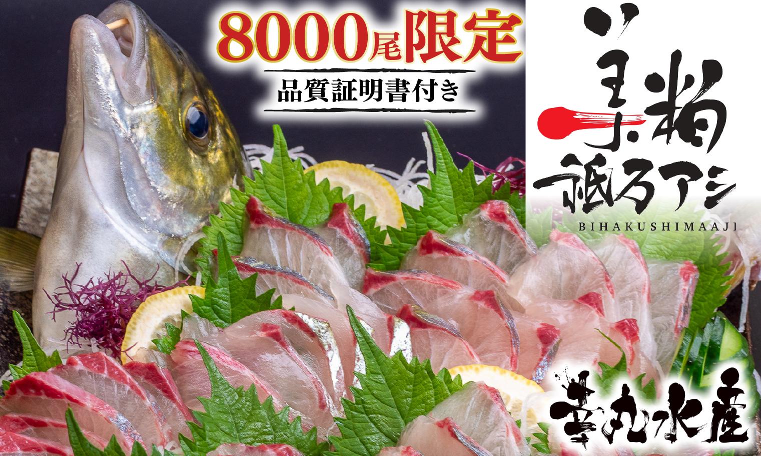 美粕祇万アジ 250g フィーレ 2パック 高級魚 刺身 刺身用 縞鯵 シマアジ 鯵 海鮮 鮮魚 新鮮 魚介 冷凍 魚 さかな 小分け 高知県 須崎市 2人前 計250g 腹･背フィーレ 2パック