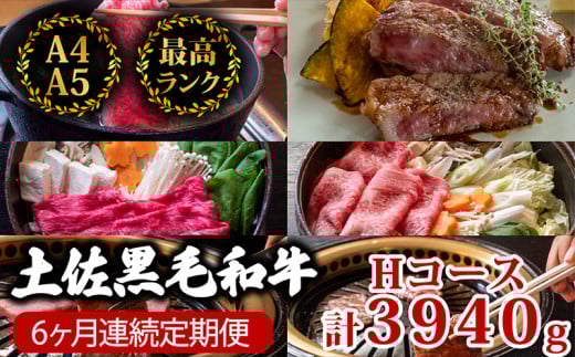 【6回定期】土佐黒毛和牛 食べ比べ 3940g 【計3.9kg以上】