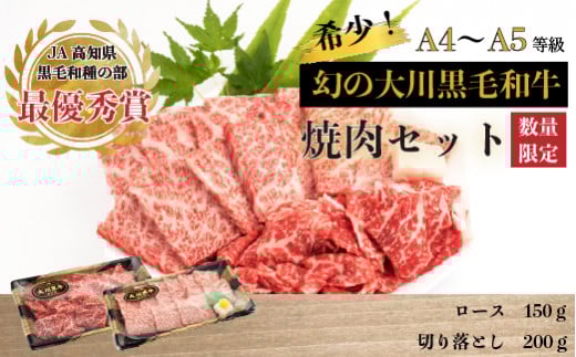 肉 牛肉 国産 黒毛 和牛 ロース 150g 切り落とし 200g 焼肉 希少 幻の大川黒毛和牛 高知県 須崎市 ふるさと納税牛肉 赤身 希少 幻の大川黒毛和牛 ブランド牛 焼肉 ブロック セット 人気 ランキング ギフト 贈答用 冷凍 小分け 高知県 須崎市 ME059_x