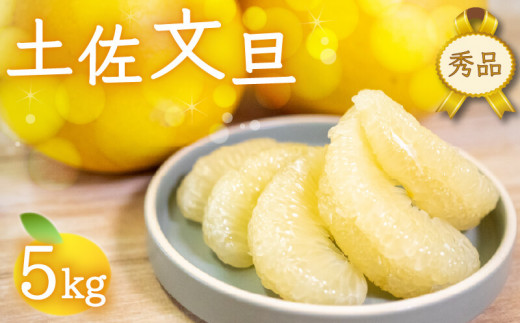 【早期予約】 文旦 秀品 5kg 2025年2月下旬?順次発送 秀品 5kg