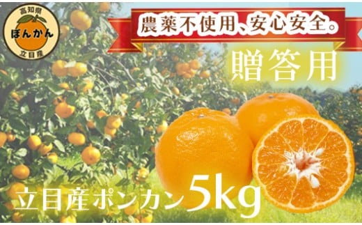 【 早期予約開始 】ポンカン 2026年1月下旬 発送 秀品 贈答用 5kg 無農薬 ブランド サイズ混合 家庭用 立目産ぽんかん 柑橘 高知県 須崎市 5kg秀品
