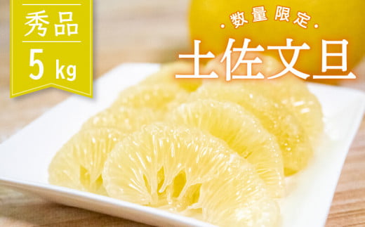 【2026年2月より順次発送】土佐文旦 秀品 5kg 高知県産 柑橘 フルーツ 文旦 ぶんたん ブンタン 果物 産地直送 高知県 須崎 KG008 秀品5kg
