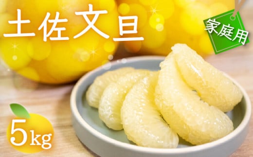 【早期予約】 文旦 家庭用 5kg 2025年2月下旬?順次発送 訳あり 5kg