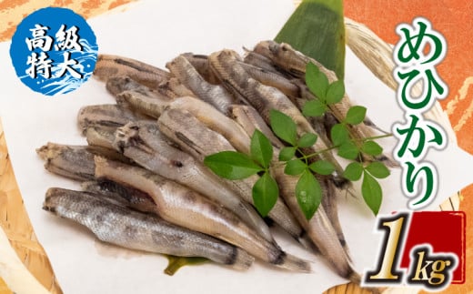 【高級】特大めひかり 1kg メヒカリ 干物 寒風 天日干し 魚 カルシウム 冷凍 産地直送 ご飯のお供 漁師 おつまみ 高知県 須崎市 TKM024 1kg
