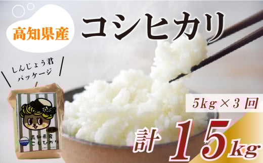 【早期予約】【3回定期便】 数量限定 新米 コシヒカリ 計15kg 令和7年 5kg×3回 白米 精米 米 こしひかり ブランド米 国産 高知県 須崎 しんじょう君 産地直送 NF1000 【定期便3回】5kg×3回
