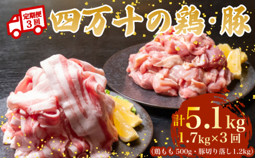 【3ヶ月連続】四万十ブランド 鶏肉500g 豚肉1.2kg（計1.7kg×3回) 5.1kg 3回定期便 5Vコース｜ 四万十ポークスライス 四万十ポーク 豚バラ肉 小分け 小間切れ スライス 切り落とし 冷凍 真空パック 細切れ 切身 カット 一口大 カット済み  四万十鶏 鳥肉 とりにく 鶏もも 国産 ブランド 唐揚げ 煮物 鍋 チキン 高知県 須崎市 TM128000