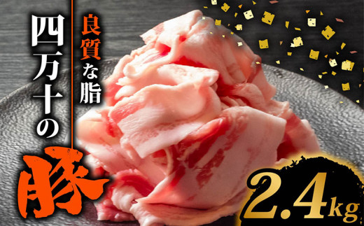 四万十ポークスライス2.4kg | 300g × 8パック セット 豚肉 豚バラ肉 小分け 小間切れ スライス 切り落とし 冷凍 真空パック 簡単調理 細切れ 大容量 肉 高知県 須崎市 TM039 2.4kg（300g×8パック）