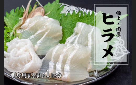 極上 ヒラメ 2枚 800g ～ 1.2kg 1匹 分 高級魚 鮃 刺身 刺し身 真空パック 高知県 須崎市 18000円 KS0081