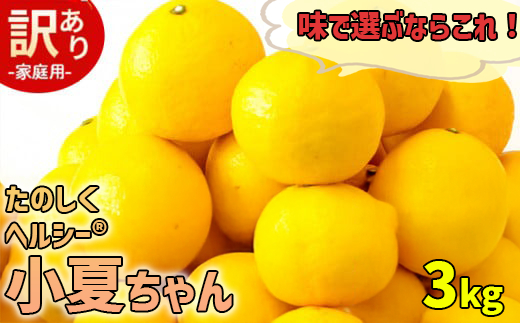 【訳あり】小夏 (日向夏) ヘルシー小夏ちゃん 3kg 2026年5月末から発送  | 家庭用 期間 数量 限定 旬 人気 果物 くだもの 柑橘 フルーツ みかん ジュース 高知県 須崎市 KYM009