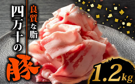 四万十ポークスライス1.2kg | 300g × 4パック セット 豚肉 豚バラ肉 小分け 小間切れ スライス 切り落とし 冷凍 真空パック 簡単調理 細切れ 大容量 肉 高知県 須崎市 TM037 1.2kg（300g×4パック)