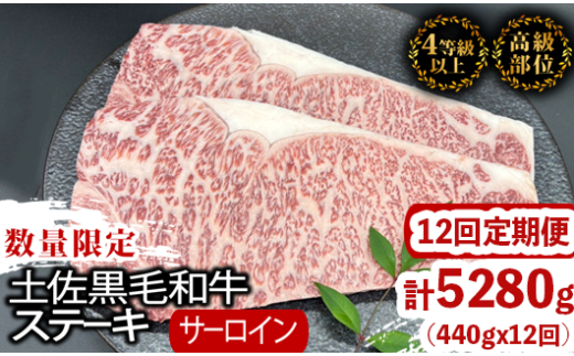 【定期12回】土佐黒毛和牛サーロインステーキ 計5.28kg【440g×12ヶ月連続お届け】 2Tコース