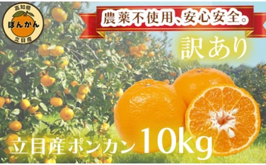 【 早期予約開始 】 ポンカン 訳あり 10kg 2026年 1月下旬より順次発送 収穫分 無農薬 ブランド サイズ混合 家庭用 立目産ぽんかん 柑橘 みかん 高知県 須崎市 MO005 10kg訳あり