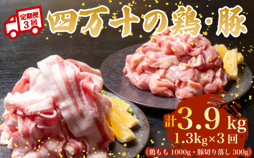 【3ヶ月連続】四万十ブランド 鶏肉1kg 豚肉300g（計1.3kg×3回)3.9kg 3回定期便 5Yコース｜ 四万十ポークスライス 四万十ポーク 豚バラ肉 小分け 小間切れ スライス 切り落とし 冷凍 真空パック 細切れ 切身 カット 一口大 カット済み  四万十鶏 鳥肉 とりにく 鶏もも 国産 ブランド 唐揚げ 煮物 鍋 チキン 高知県 須崎市 TM131000