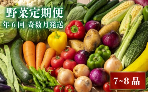 【野菜定期便】 早期予約 2026年1月より順次発送 定期便6回7～8種類程度 奇数月発送 野菜詰め合わせセット 7～8品