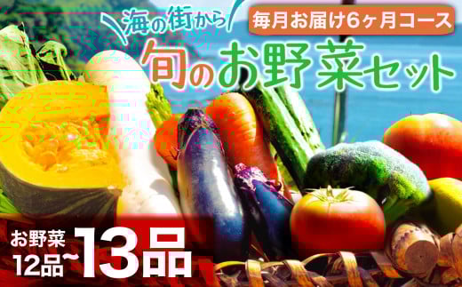 定期便 6回 6ヶ月 半年 野菜 12~13品前後 詰め合わせ 産地直送 セット あわ地区 旬の野菜 やさい ベジタブル キット 季節野菜 高知 須崎 国産 人気 半年間 毎月 お届け 頒布会 AWA8000_x