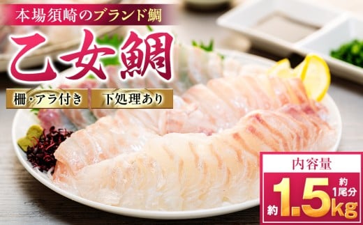 真鯛 刺身 用 柵 アラ付き 1尾 セット 1.3kg～1.5kg 本場須崎のブランド 鯛 乙女鯛 新鮮 冷蔵 刺身 お刺し身 タイ 鯛 高級魚 鮮魚 海鮮 魚介 煮付け 鯛めし 鯛茶漬け 鯛しゃぶ アラ汁 皿 高知県 須崎市 KS004 1尾分(1.3kg〜1.5kg)