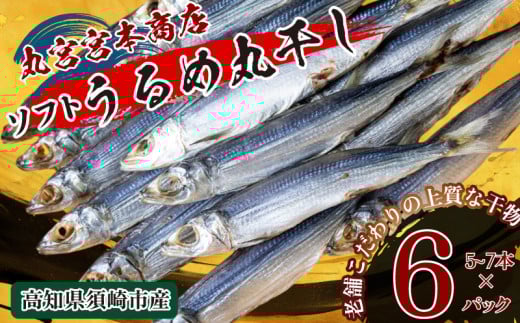 うるめの丸干し(ソフト) 6パック 鰯 煮干し 真いわし 真鰯 稚魚 おやつ おつまみ ウルメイワシ  乾物 干物 ひもの魚介 加工品 ウルメ 丸宮 宮本 商店 土佐 海洋深層水 ミネラル 高知県 須崎市 MMY045 ソフト