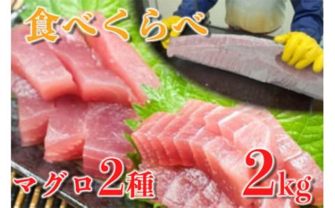 [訳あり] キハダマグロの赤身とメバチマグロの腹身のセット まぐろ赤身 鮪の刺身 まぐろのハランボ 鮪のトロ 食べ比べ