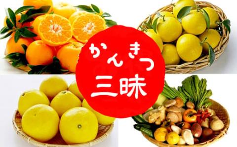 [南国高知からの贈り物]柑橘三昧(ポンカン・文旦・小夏] +++野菜セット付き+++