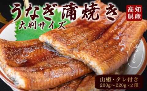 高知県産うなぎの蒲焼き(2尾セット)