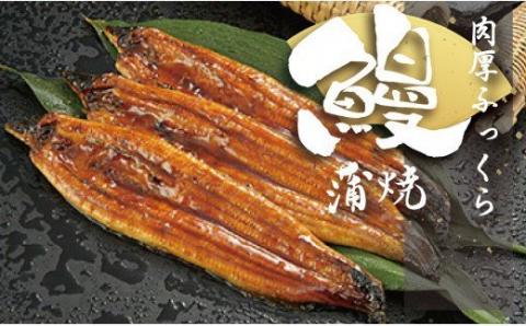 高知県産 うなぎ蒲焼き 100〜120g 10尾セット 鰻