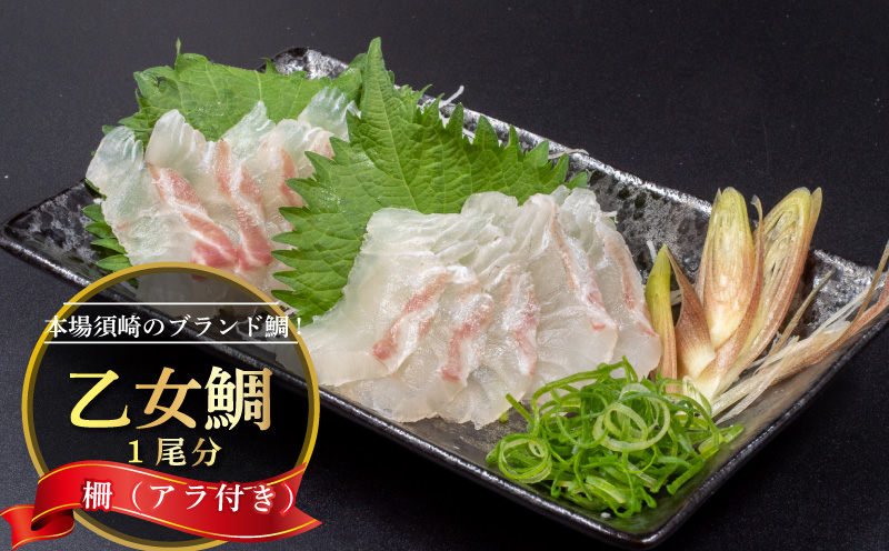 鯛 1尾分 刺身 加工 アラ付き 産地直送 新鮮 冷蔵 小島水産 ブランド鯛 乙女鯛 祝 ギフト 贈答 中元 歳暮 正月 高知県 須崎市