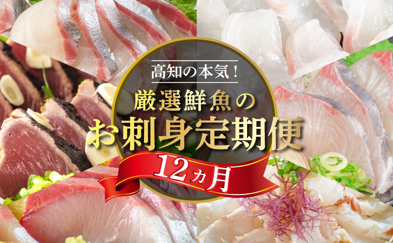 刺身 定期便 【 12ヶ月 】 小島水産 がお届けする！ 美味しい お刺身 1年 コース ( 鮮魚 下処理済 ) 産地直送 12回 新鮮 鮮魚 （ 鰤 ブリ 勘八 カンパチ 鯛 乙女鯛 真鯛 マダイ かつおのタタキ 鰹 カツオ 鰹のたたき 縞鯵 シマアジ ） 刺身 高知県 須崎市