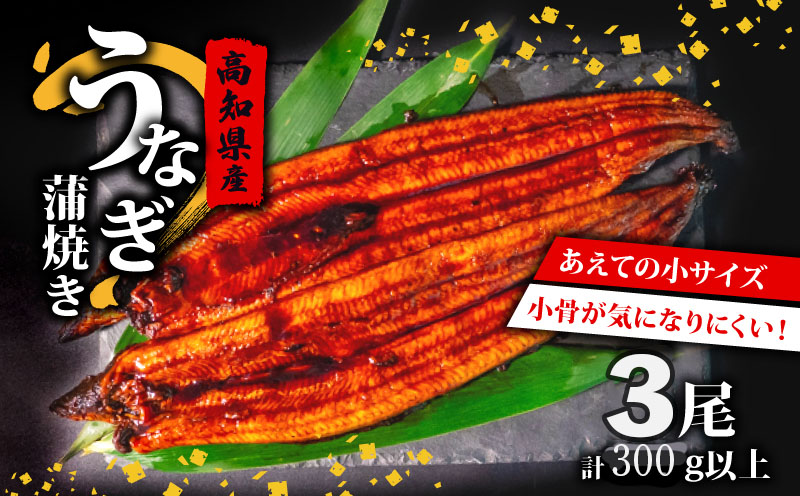 高知県産 うなぎ蒲焼き 100~120g 3尾セット 鰻