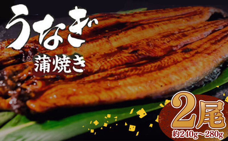 [肉厚] うなぎ蒲焼き 240g(120〜140×2尾)/ 鰻 ウナギ かば焼き 冷凍