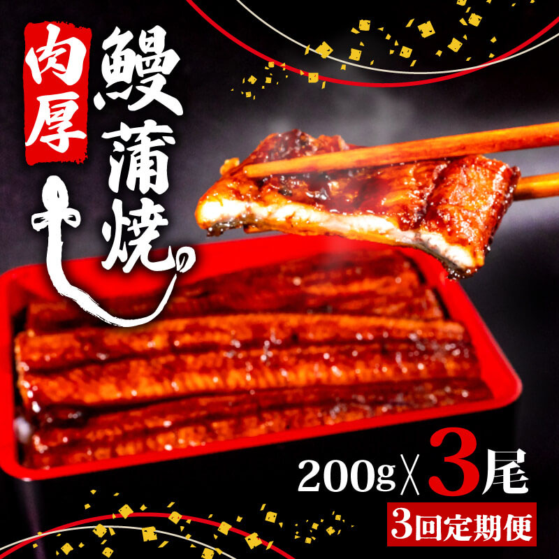 [3ヶ月連続定期便]うなぎ 蒲焼 肉厚 養殖 鰻 200g×3尾 セット ( ふっくら 香ばしい 頭付き 鰻 手焼き 蒲焼 タレ付き ふっくら 香ばしい うなぎ蒲焼き 鰻蒲焼 台湾産 養殖鰻 養殖うなぎ 冷凍 惣菜 真空パック 温めるだけ 簡単調理 高知県 須崎市 3回 定期便 )