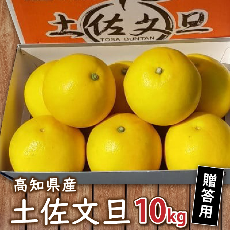 [早期予約] 土佐文旦 10kg 贈答用