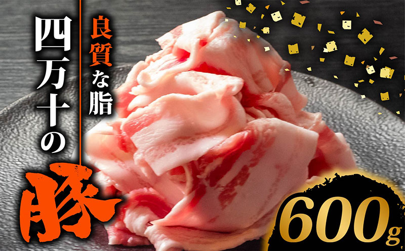 四万十ポークスライス600g | 300g × 2パック セット 豚肉 豚バラ肉 小分け 小間切れ スライス 切り落とし 冷凍 真空パック 簡単調理 細切れ 大容量 肉 高知県 須崎市 | 豚肉豚肉豚肉豚肉豚肉豚肉豚肉豚肉豚肉豚肉豚肉豚肉豚肉豚肉豚肉豚肉豚肉豚肉豚肉豚肉豚肉豚肉豚肉豚肉豚肉豚肉豚肉豚肉豚肉豚肉豚肉豚肉豚肉豚肉豚肉豚肉豚肉豚肉豚肉豚肉豚肉豚肉豚肉豚肉豚肉豚肉豚肉豚肉豚肉豚肉豚肉豚肉豚肉豚肉豚肉豚肉豚肉豚肉豚肉