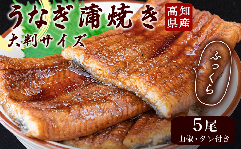 高知県産うなぎの蒲焼き 鰻のかば焼き [特大ウナギ]