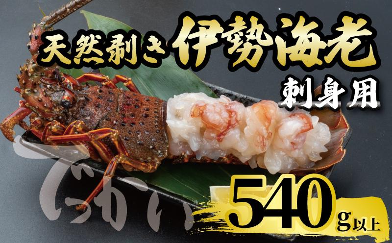 でっかい天然伊勢海老 刺身用 540g以上 冷凍