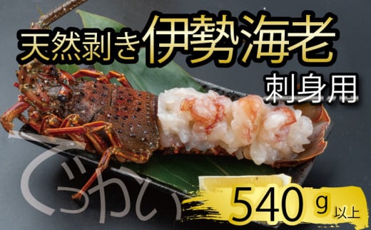 でっかい天然伊勢海老 刺身用 540g以上 冷凍