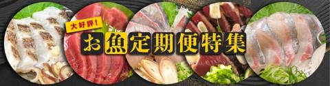 魚定期便